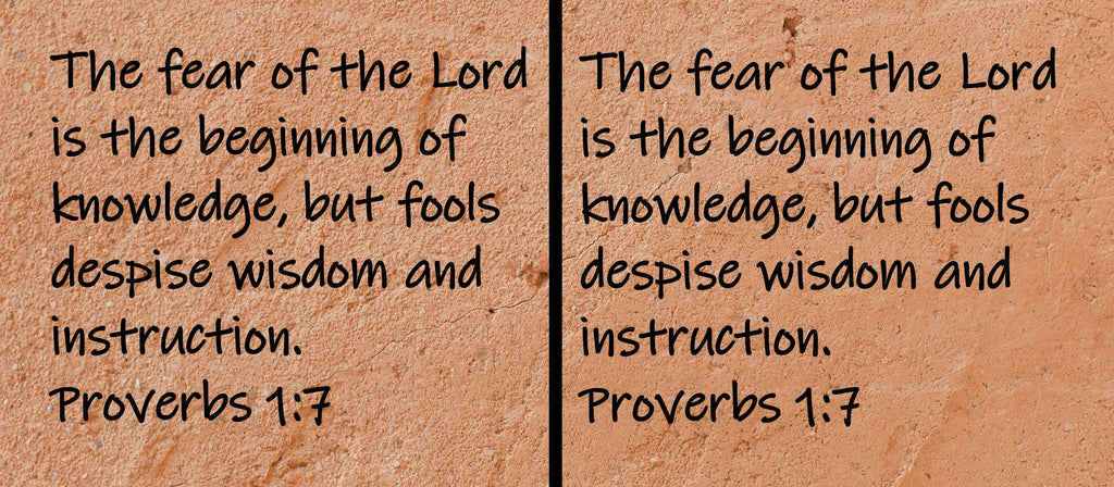 The fear of the Lord is the beginning of knowledge, but fools despise wisdom and instruction.  Proverbs 1:7