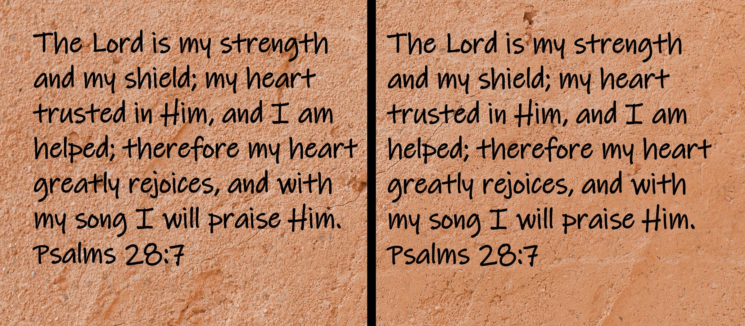 The Lord is my strength and my shield; my heart trusted in Him, and I am helped; therefore my heart greatly rejoices, and...  Psalms 28:7