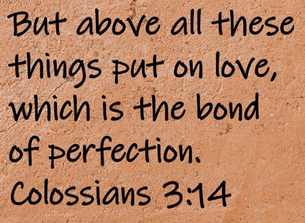 But above all these things put on love, which is the bond of perfection.  Colossians 3:14
