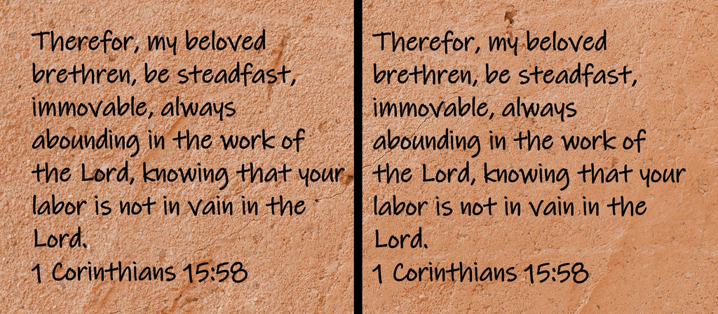 Therefor, my beloved brethren, be steadfast, immovable, always abounding in the work of the Lord, knowing that your labor is not in vain in the Lord.  1 Corinthians 15:58