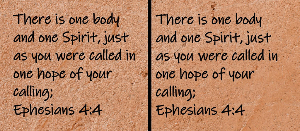 There is one body and one Spirit, just as you were called in one hope of your calling;  Ephesians 4:4