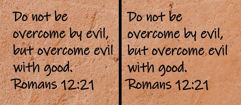 Do not be overcome by evil, but overcome evil with good.  Romans 12:21