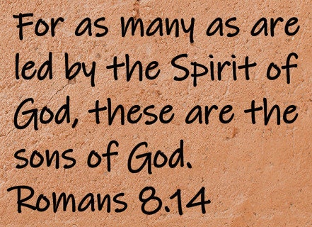 For as many as are led by the Spirit of God, these are the sons of God. Romans 8:14