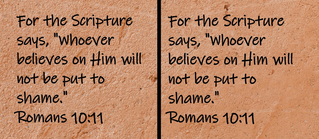 For the Scripture says, "Whoever believes on Him will not be put to shame."  Romans 10:11