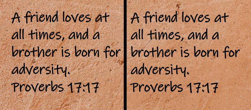 A friend loves at all times, and a brother is born for adversity.  Proverbs 17:17