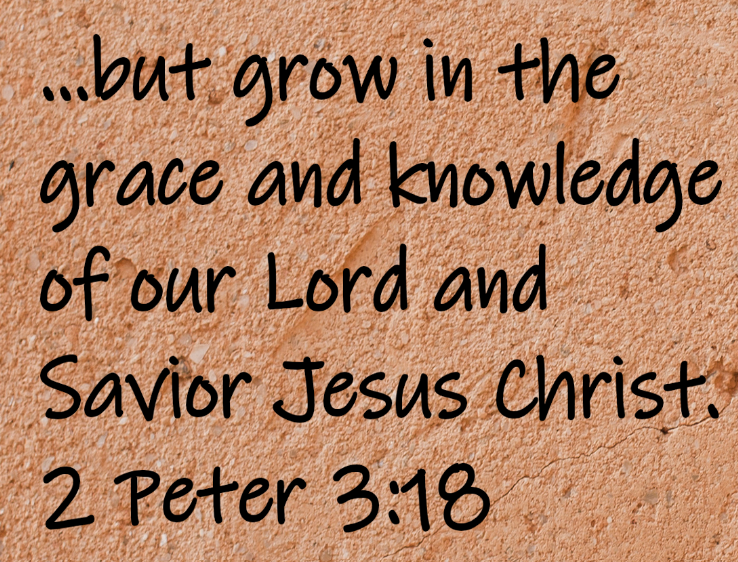 ...but grow in the grace and knowledge of our Lord and Savior Jesus Christ. 2 Peter 3:18