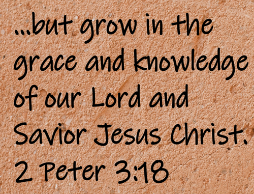...but grow in the grace and knowledge of our Lord and Savior Jesus Christ. 2 Peter 3:18