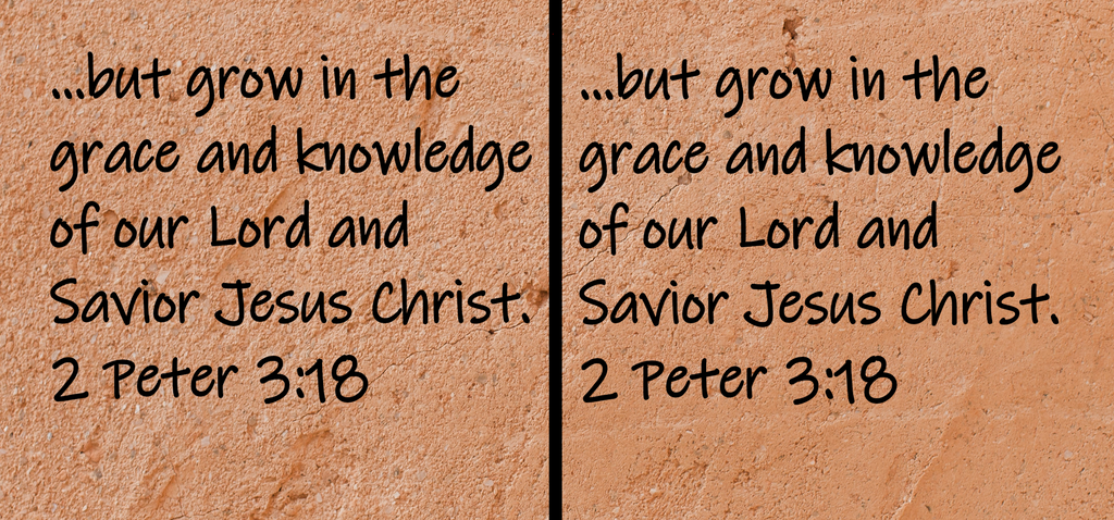 ...but grow in the grace and knowledge of our Lord and Savior Jesus Christ. 2 Peter 3:18