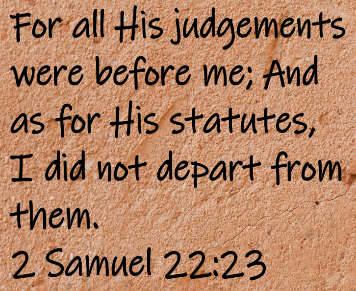 For all His judgements were before me; and as for His statutes, I did not depart from them. 2 Samuel 22:23