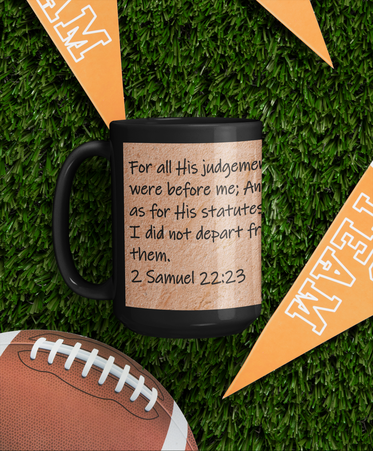 For all His judgements were before me; and as for His statutes, I did not depart from them. 2 Samuel 22:23