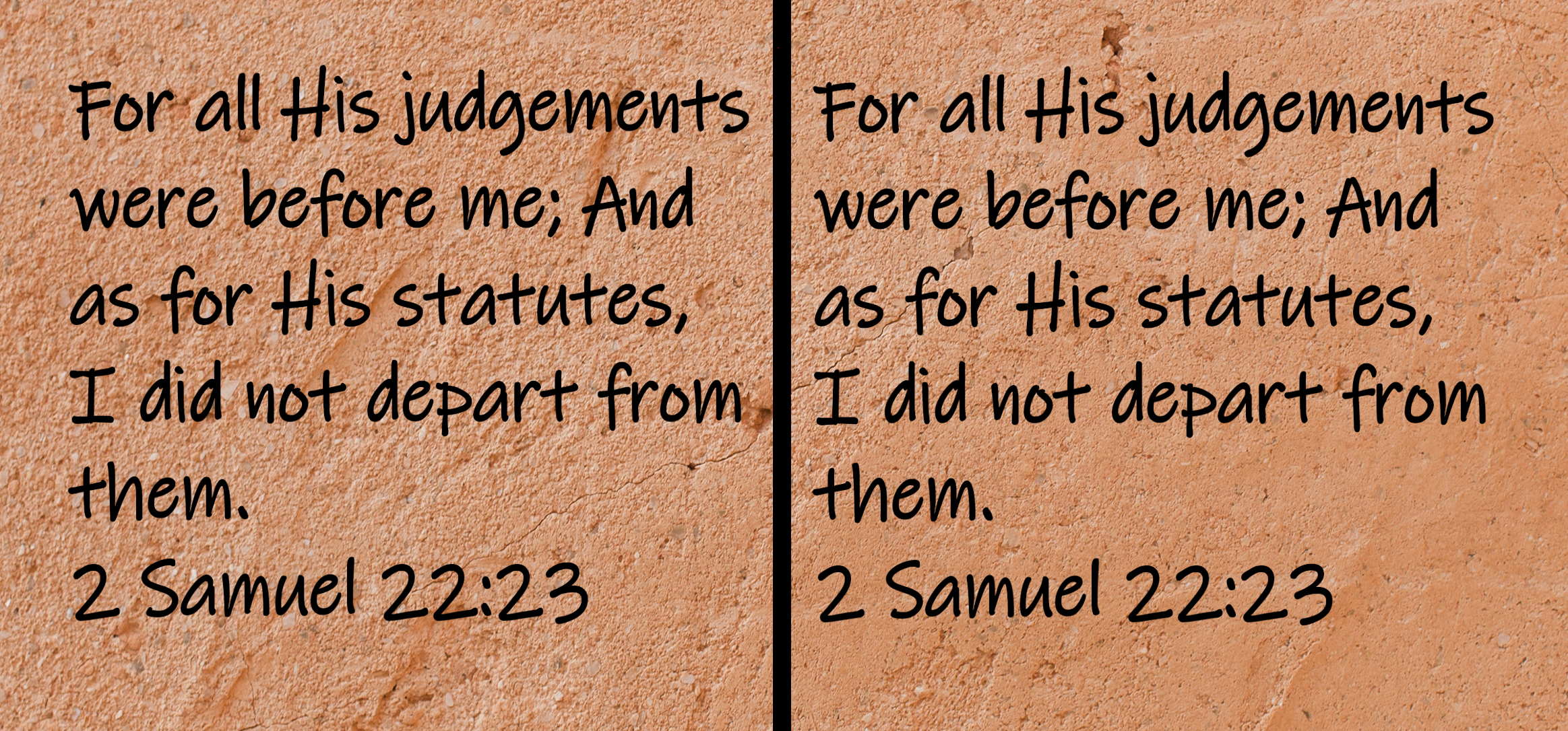 For all His judgements were before me; and as for His statutes, I did not depart from them. 2 Samuel 22:23