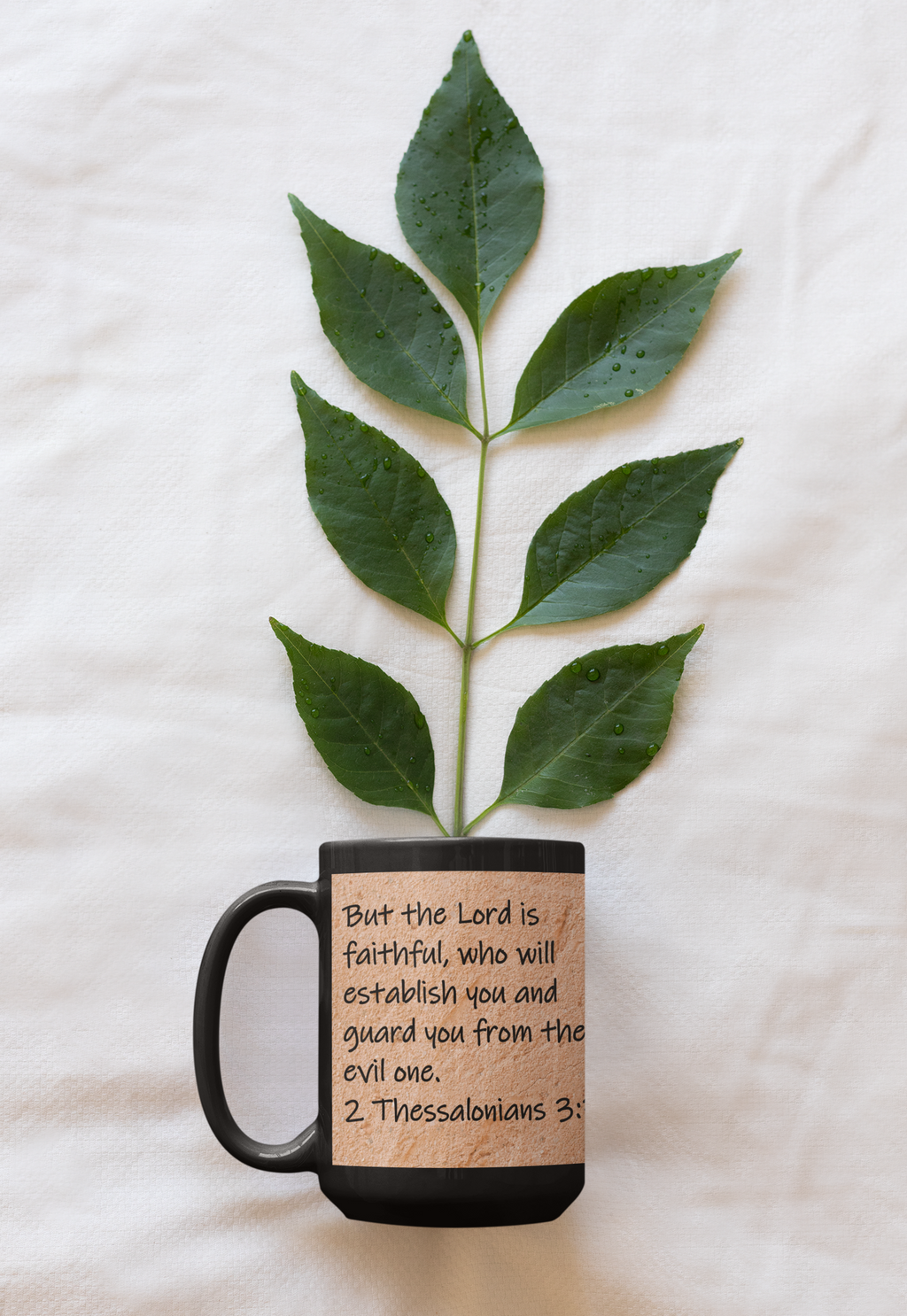 But the Lord is faithful, who will establish you and guard you from the evil one.  2 Thessalonians 3:3