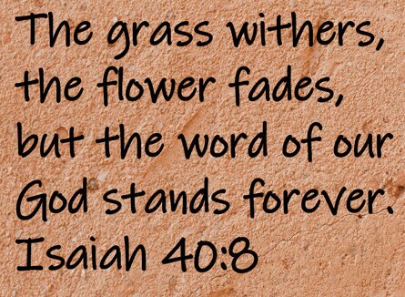 The grass withers, the flower fades, but the word of our God stands forever.  Isaiah 40:8