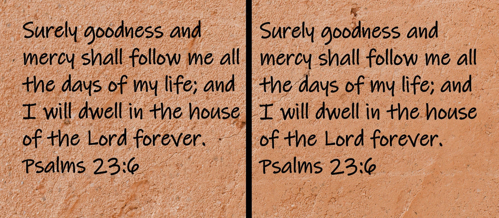 Surely goodness and mercy shall follow me all the days of my life; and I will dwell in the house of the Lord forever.  Psalms 23:6