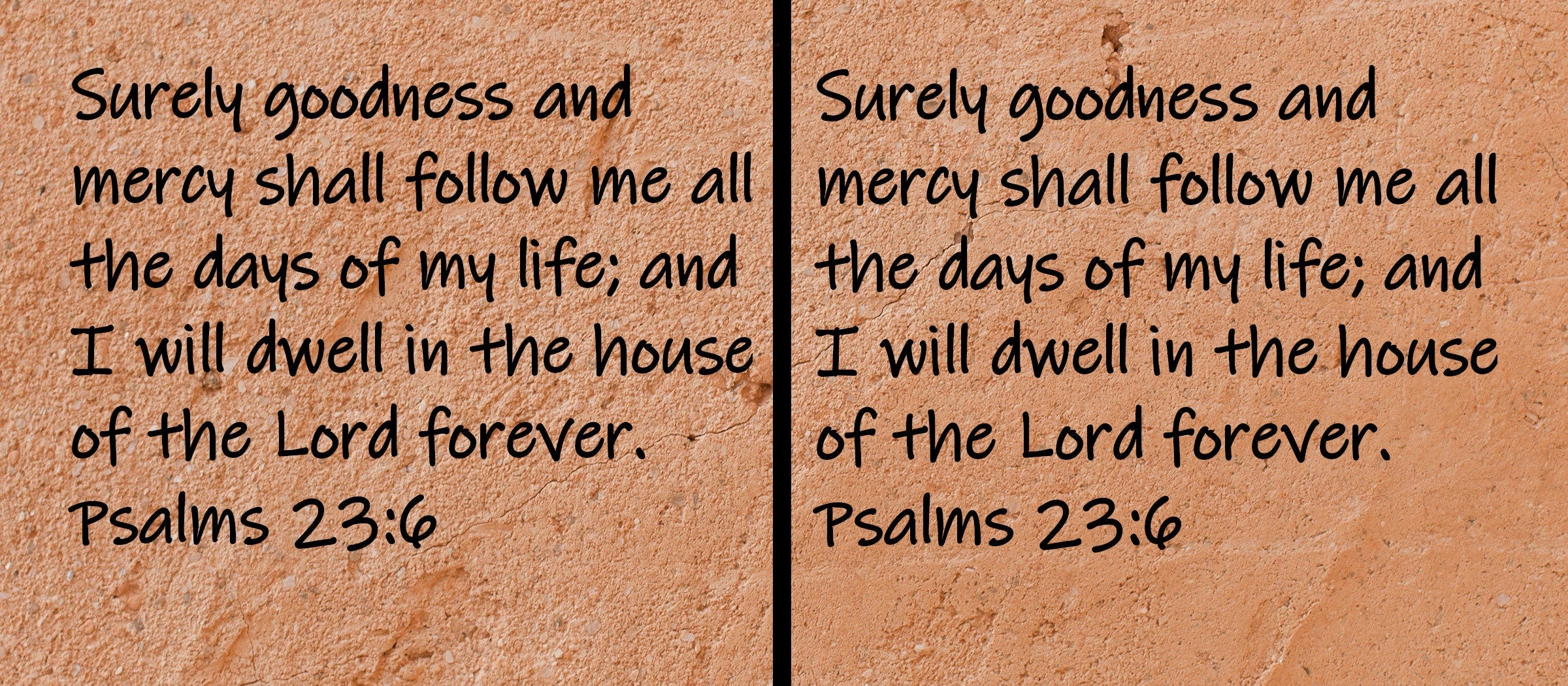 Surely goodness and mercy shall follow me all the days of my life; and I will dwell in the house of the Lord forever.  Psalms 23:6