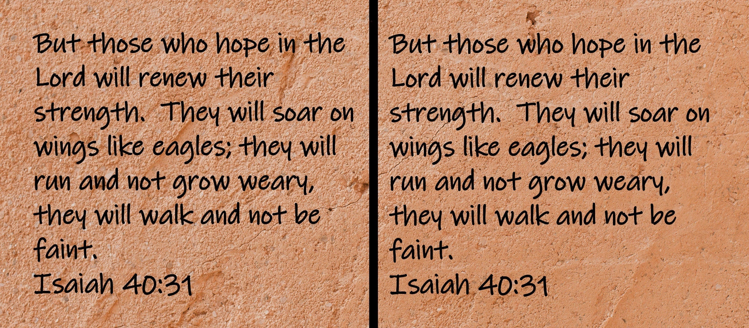But those who hope in the Lord will renew their strength. They will soar on wings like eagles; they will run and not grow weary, they will walk and not be faint.  Isaiah 40:31