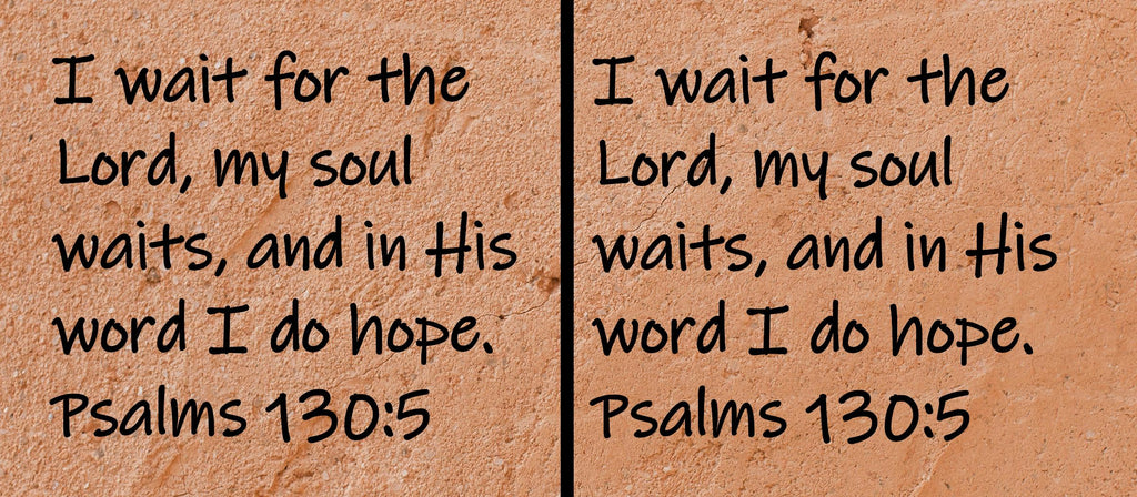 I wait for the Lord, my soul waits, and in His word I do hope.  Psalms 130:5