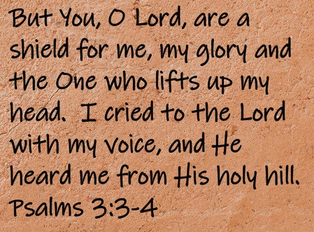But you, O Lord, are a shield for me, my glory and the One who lifts up my head. I cried to the Lord with my voice, and He heard me from His holy hill.  Psalms 3:3-4