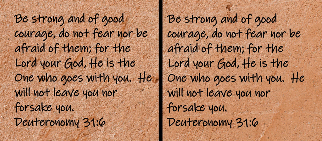 Be strong and of good courage, do not fear nor be afraid of them; for the Lord your God, He is the One who goes with you. He will not leave you nor forsake you.  Deuteronomy 31:6