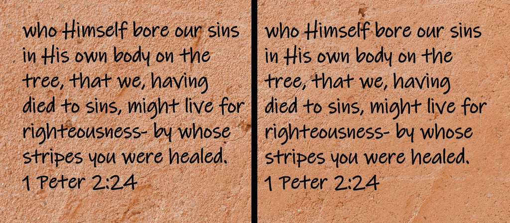 who Himself bore our sins in His won body on the tree, that we, having died to sins, might live for righteousness - by whose... 1 Peter 2:24