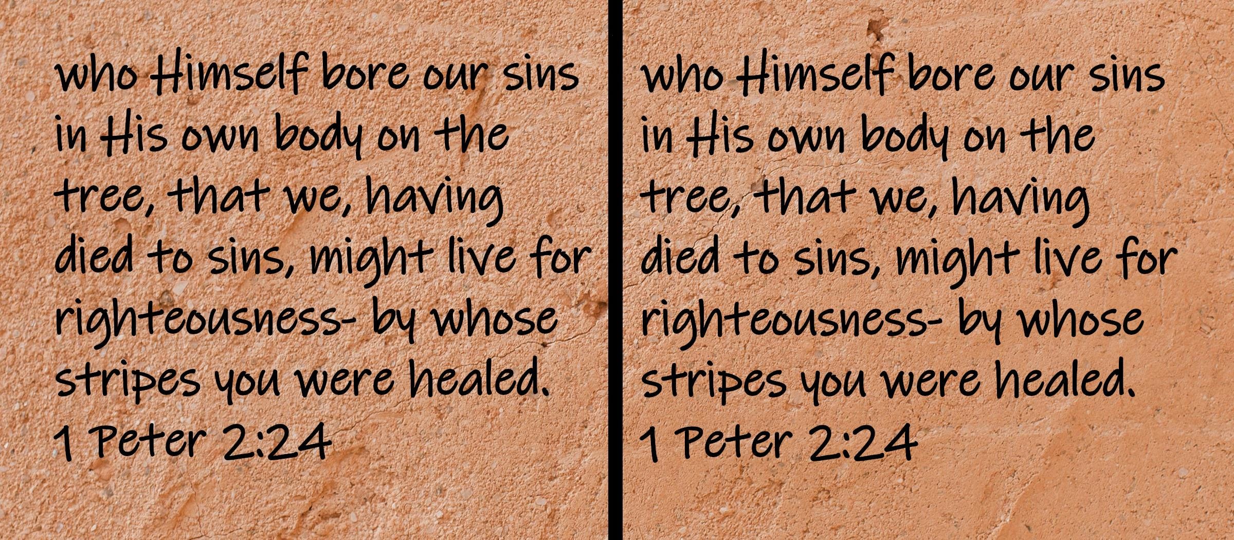 who Himself bore our sins in His won body on the tree, that we, having died to sins, might live for righteousness - by whose... 1 Peter 2:24