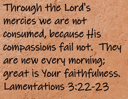 Through the Lord's mercies we are not consumed, because His compassions fail not.  They are new every morning;...Lamentations 3:22-23