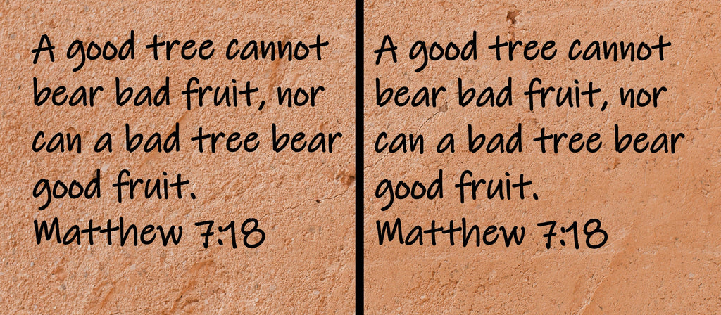 A good tree cannot bear bad fruit, nor can a bad tree bear good fruit.  Matthew 7:18