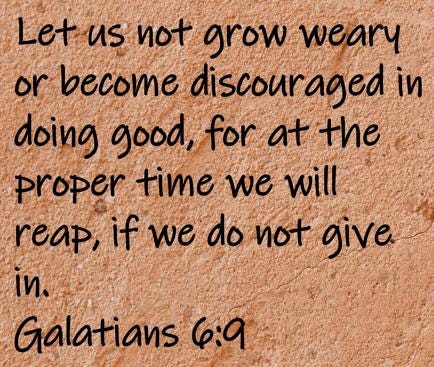 Let us not grow weary or become discouraged in doing good, for at the proper time we will reap, if we do not give in.  Galatians 6:9