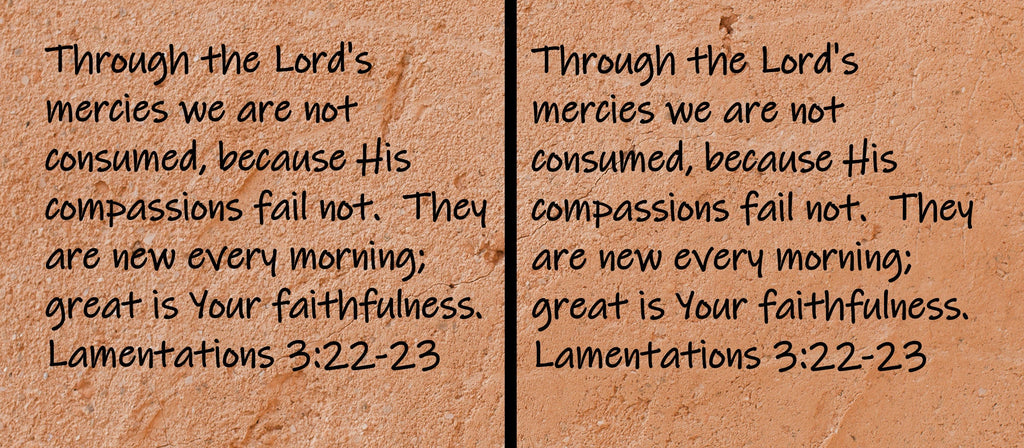 Through the Lord's mercies we are not consumed, because His compassions fail not.  They are new every morning;...Lamentations 3:22-23