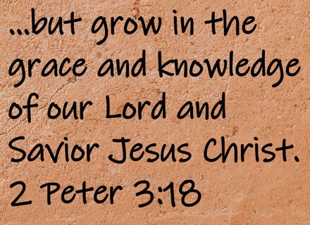 but grow in the grace and knowledge of our Lord and Savior Jesus Christ.  2 Peter 3:18