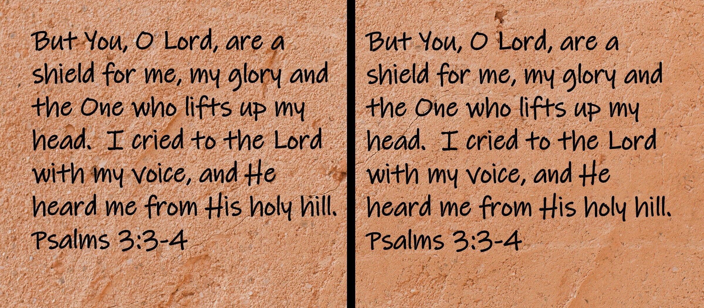 But you, O Lord, are a shield for me, my glory and the One who lifts up my head. I cried to the Lord with my voice, and He heard me from His holy hill.  Psalms 3:3-4