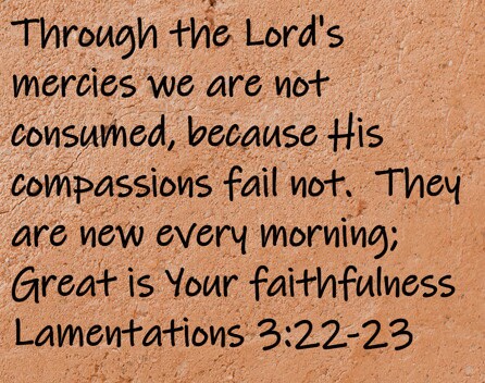 Through the Lord's mercies we are not consumed, because His compassions fail not. They are new every morning; Great is Your faithfulness.  Lamentations 3:22-23