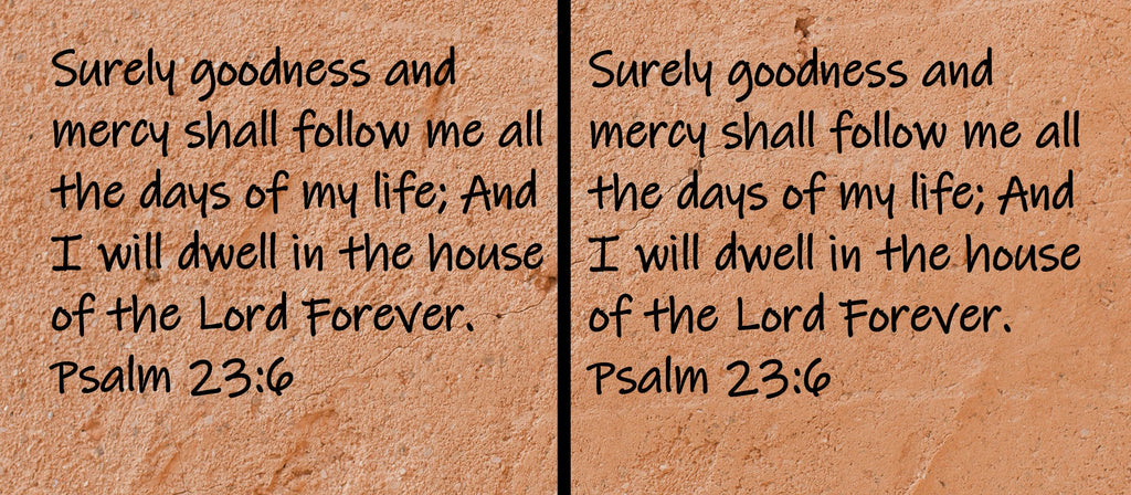 Surely goodness and mercy shall follow me all the days of my life; And I will dwell in the house of the Lord forever. Psalm 23:6