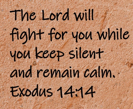 The Lord will fight for you while you keep silent and remain calm. Exodus 14:14