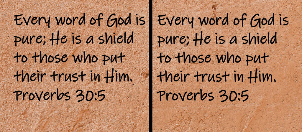 Every word of God is pure; He is a shield to those who put their trust in Him.  Proverbs 30:5