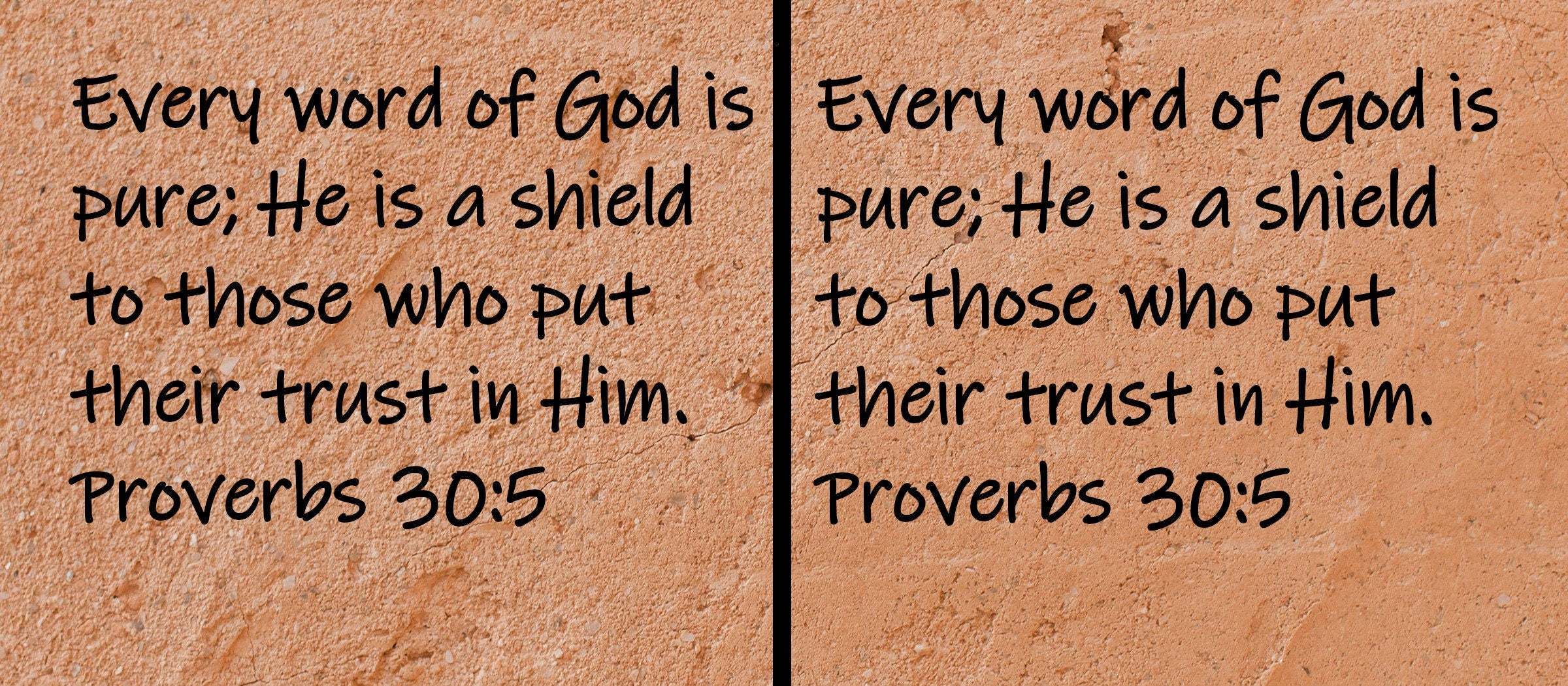 Every word of God is pure; He is a shield to those who put their trust in Him.  Proverbs 30:5