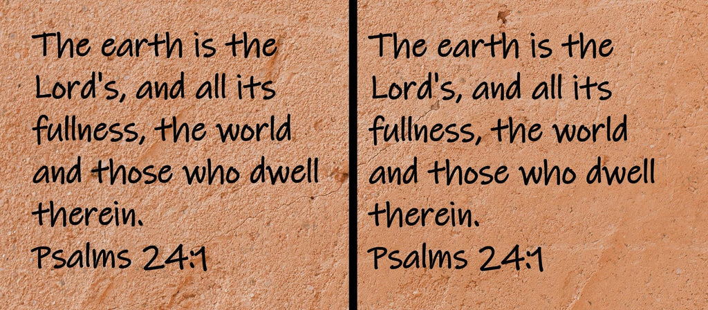 The earth is the Lord's, and all its fullness, the world and those who dwell therein.  Psalms 24:1