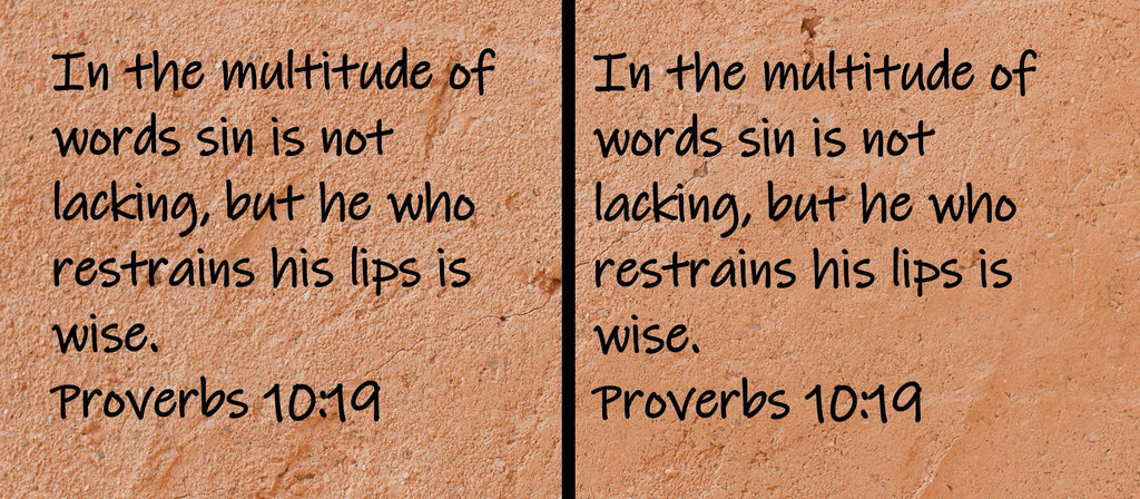 In the multitude of words sin is not lacking, but he who restrains his lips is wise.  Proverbs 10:19