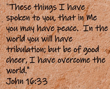 These things I have spoken to you, that in Me you may have peace. In the world you will have tribulation; but be of good cheer, I have overcome the world.  John 16:33