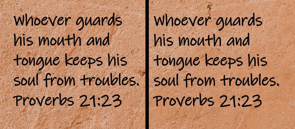 Whoever guards his mouth and tongue keeps his soul from troubles.  Proverbs 21:23