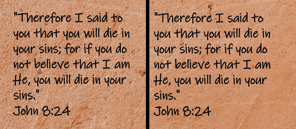 Therefore I said to you that you will die in your sins; for if you do not believe that I am He, you will die in your sins.  John 8:24