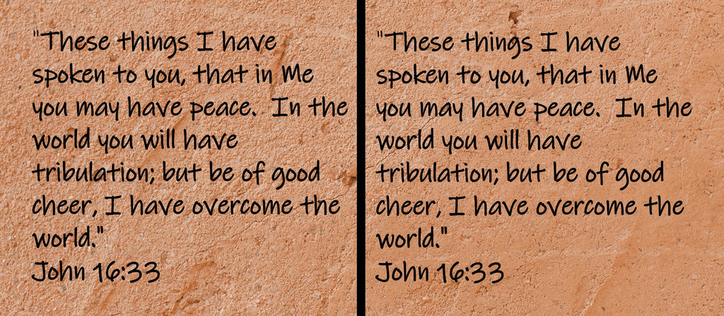 These things I have spoken to you, that in Me you may have peace. In the world you will have tribulation; but be of good cheer, I have overcome the world.  John 16:33