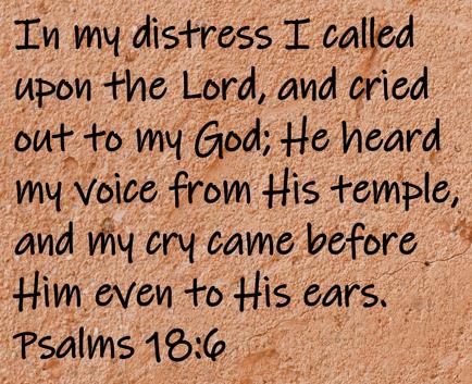 In my distress I called upon the Lord and cried out to my God; He heard my voice from His temple, and my cry came before Him... Psalms 18:6
