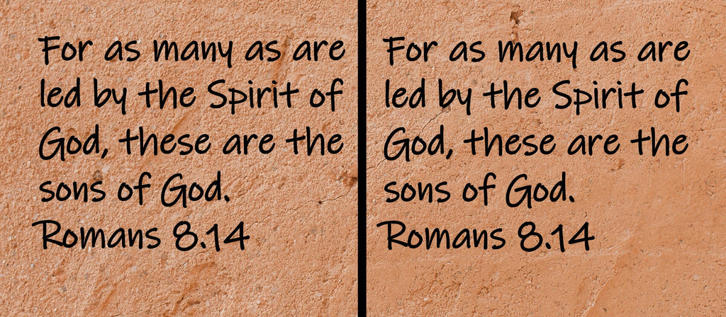 For as many as are led by the Spirit of God, these are the sons of God. Romans 8:14