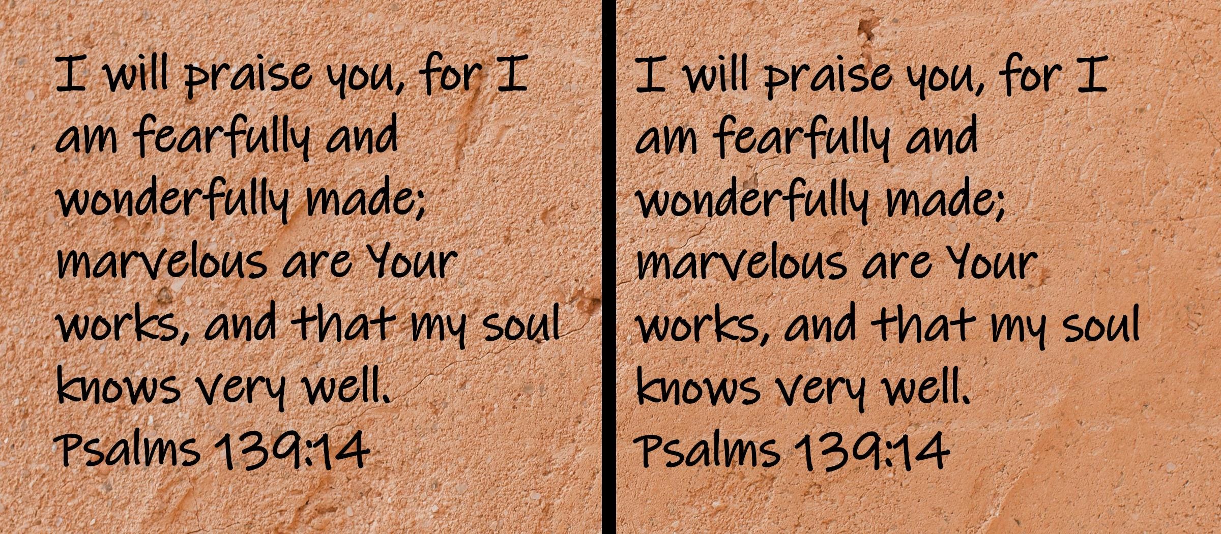 I will praise you, for I am fearfully and wonderfully made; marvelous are Your works, and that my soul knows very well.  Psalms 139:14
