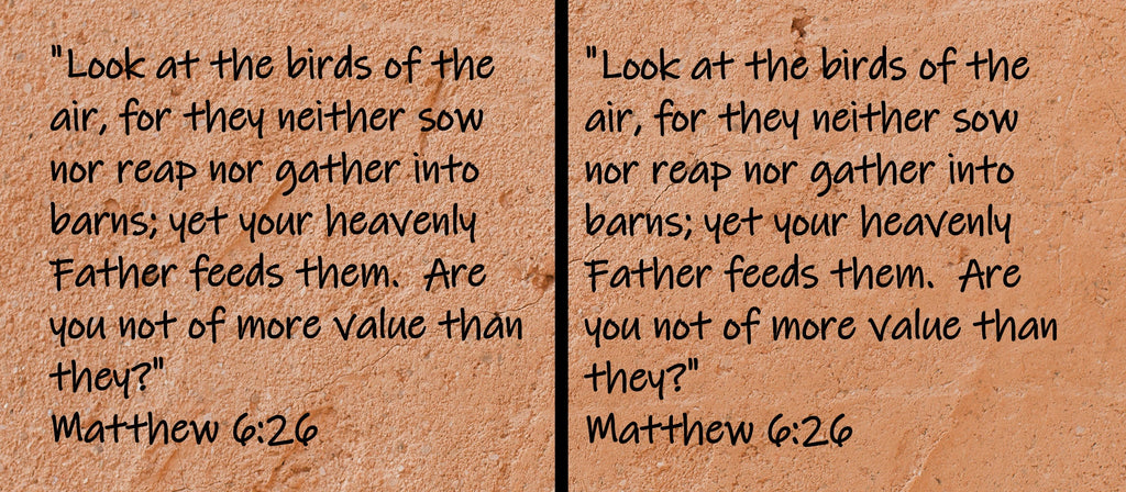 "Look at the birds of the air, for they neither sow nor reap nor gather into barns; yet your heavenly Father feeds them. Are you not of more value than they?"  Matthew 6:26