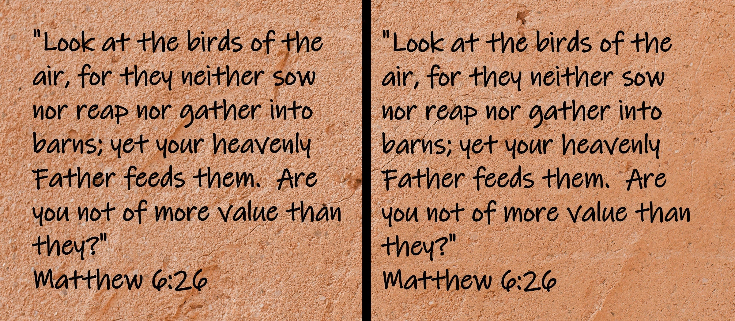 "Look at the birds of the air, for they neither sow nor reap nor gather into barns; yet your heavenly Father feeds them. Are you not of more value than they?"  Matthew 6:26
