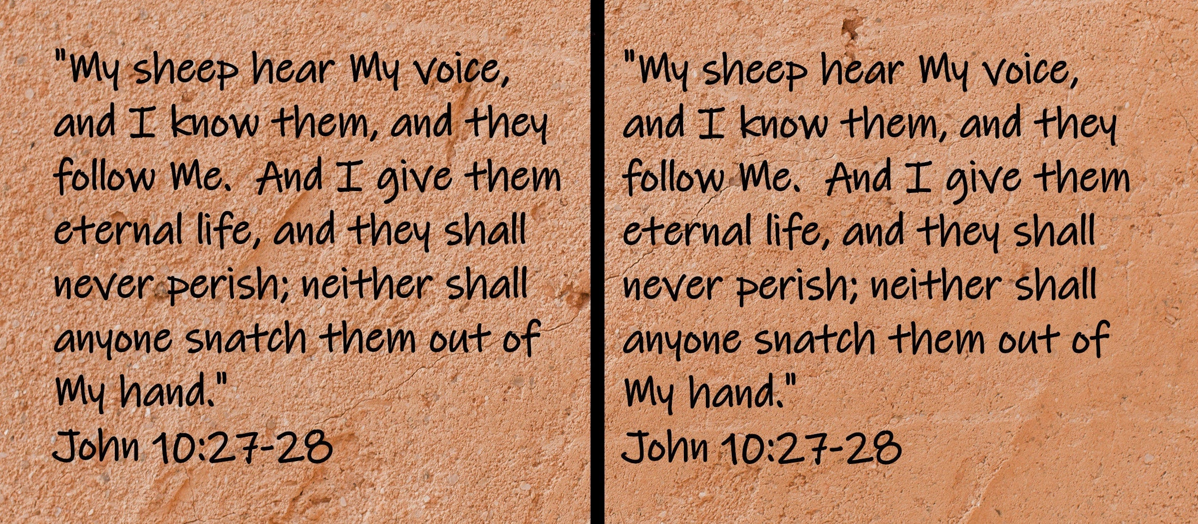 My sheep hear My voice, and I know them, and they followe Me.  And I give them eternal life, and they shall never parish; and they shall...