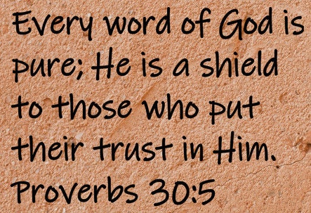Every word of God is pure; He is a shield to those who put their trust in Him.  Proverbs 30:5