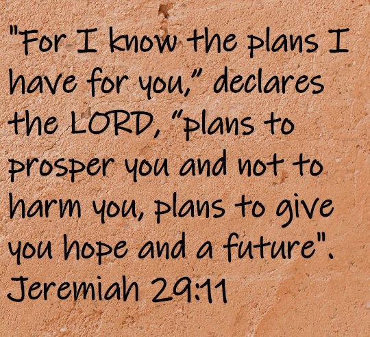 For I know the plans I have for you, "declares the Lore, "plans to prosper you and not harm you, plans to give you hope and a future".  Jeremiah 29:11
